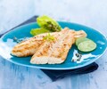 Pangasiusfilets, natuur (Artikelnummer 00482)